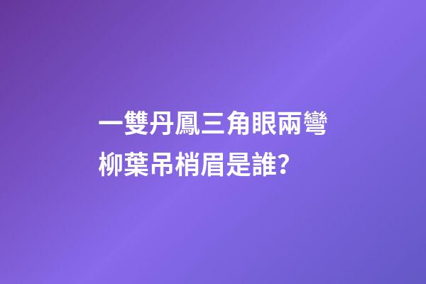 一雙丹鳳三角眼兩彎柳葉吊梢眉是誰？