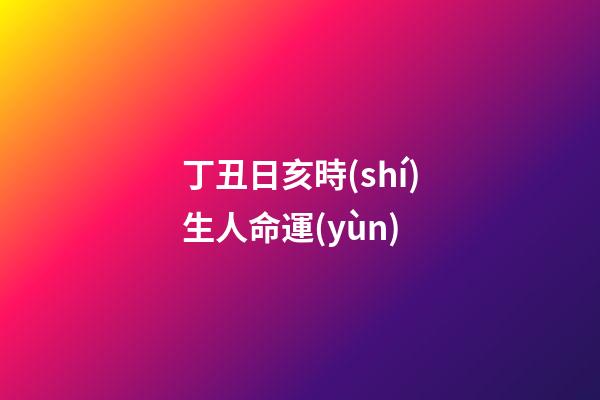 丁丑日亥時(shí)生人命運(yùn)(乙亥年丁丑月甲子日雜談一篇)-第1張-觀點(diǎn)-玄機(jī)派