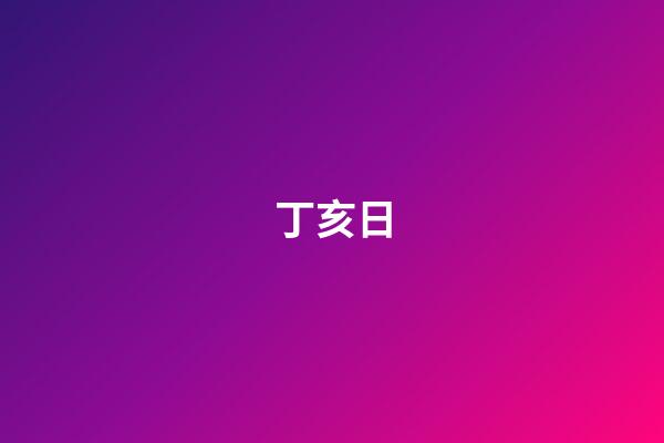 丁亥日