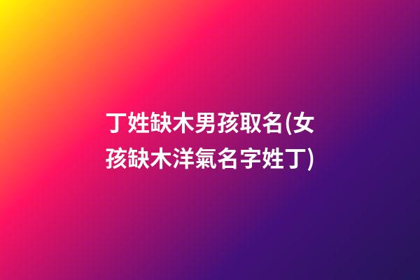 丁姓缺木男孩取名(女孩缺木洋氣名字姓丁)