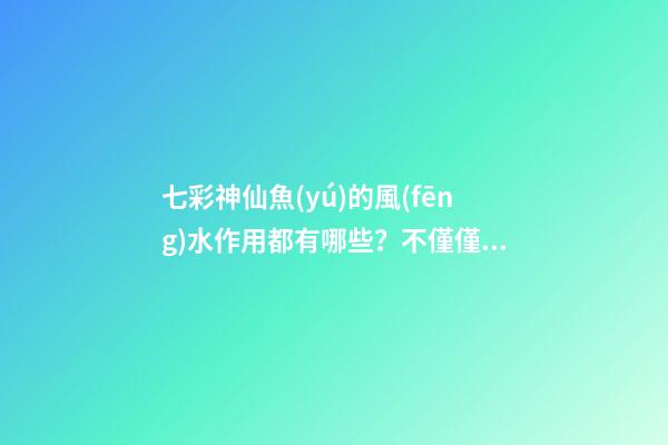 七彩神仙魚(yú)的風(fēng)水作用都有哪些？不僅僅是旺財(cái)