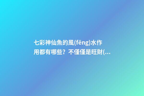 七彩神仙魚的風(fēng)水作用都有哪些？不僅僅是旺財(cái)