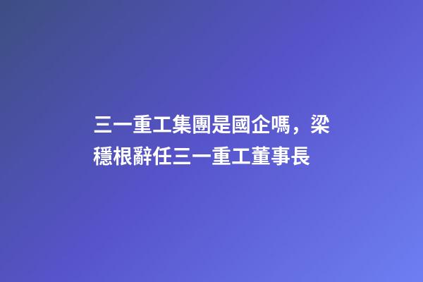 三一重工集團是國企嗎，梁穩根辭任三一重工董事長-第1張-觀點-玄機派