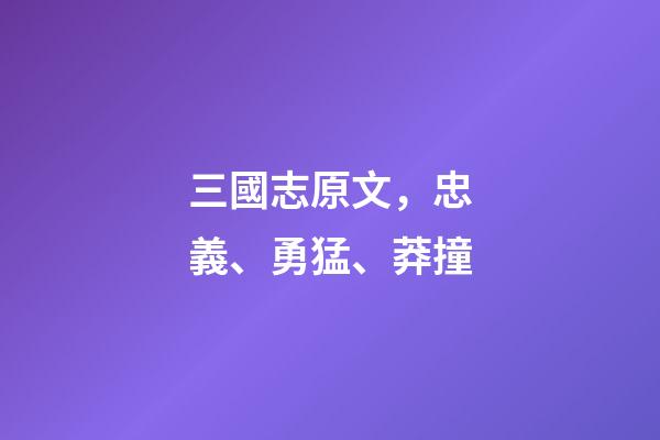 三國志原文，忠義、勇猛、莽撞-第1張-觀點-玄機派