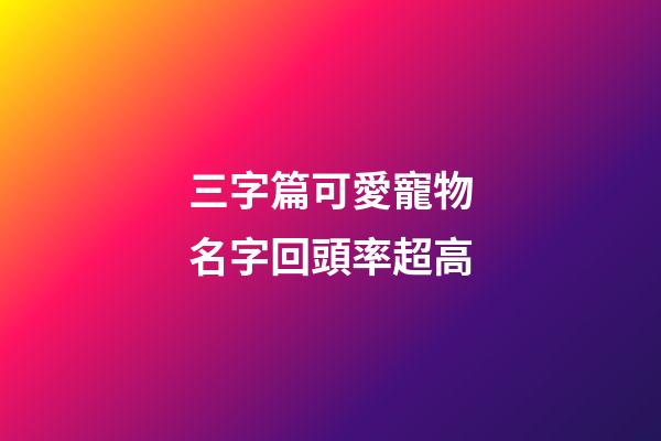 三字篇可愛寵物名字回頭率超高