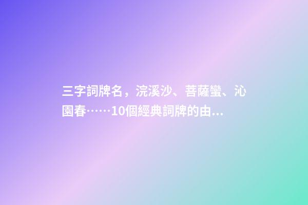 三字詞牌名，浣溪沙、菩薩蠻、沁園春……10個經典詞牌的由來-第1張-觀點-玄機派