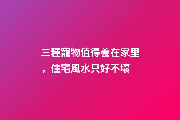 三種寵物值得養在家里，住宅風水只好不壞