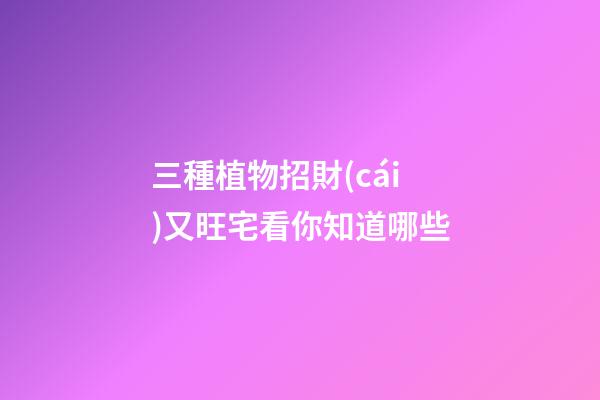 三種植物招財(cái)又旺宅看你知道哪些