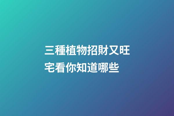 三種植物招財又旺宅看你知道哪些