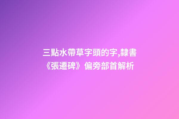 三點水帶草字頭的字,隸書《張遷碑》偏旁部首解析-第1張-觀點-玄機派