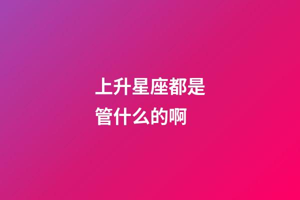 上升星座都是管什么的啊-第1張-星座運勢-玄機派