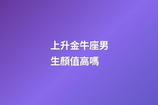 上升金牛座男生顏值高嗎-第1張-星座運勢-玄機派