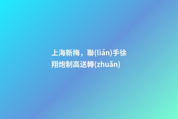 上海新梅，聯(lián)手徐翔炮制高送轉(zhuǎn)-第1張-觀點(diǎn)-玄機(jī)派