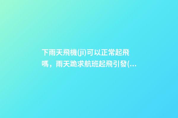 下雨天飛機(jī)可以正常起飛嗎，雨天跪求航班起飛引發(fā)爭(zhēng)議-第1張-觀點(diǎn)-玄機(jī)派