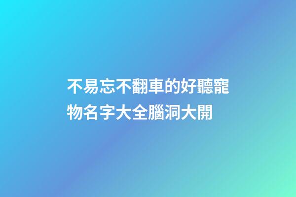不易忘不翻車的好聽寵物名字大全腦洞大開