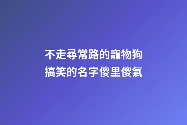 不走尋常路的寵物狗搞笑的名字傻里傻氣