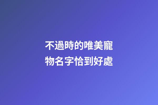 不過時的唯美寵物名字恰到好處