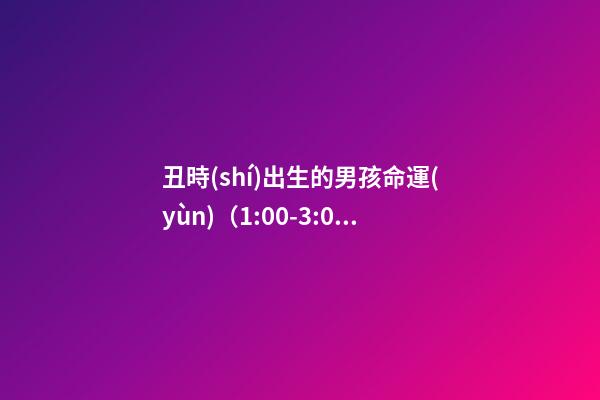 丑時(shí)出生的男孩命運(yùn)（1:00-3:00）