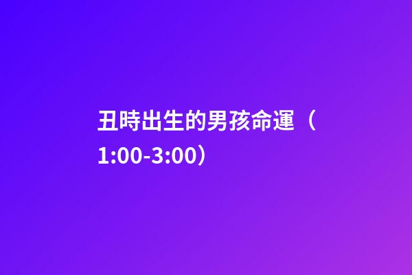 丑時出生的男孩命運（1:00-3:00）