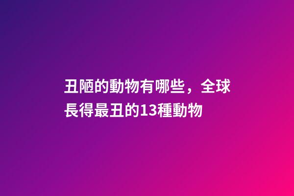 丑陋的動物有哪些，全球長得最丑的13種動物