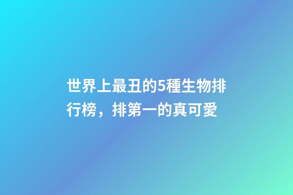 世界上最丑的5種生物排行榜，排第一的真可愛-第1張-觀點(diǎn)-玄機(jī)派