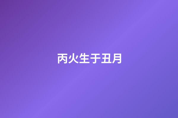 丙火生于丑月
