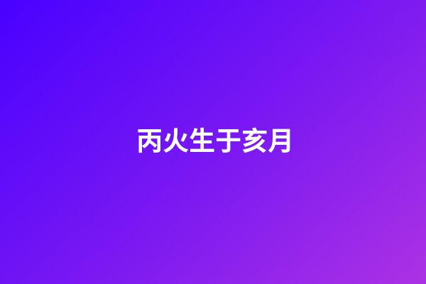 丙火生于亥月