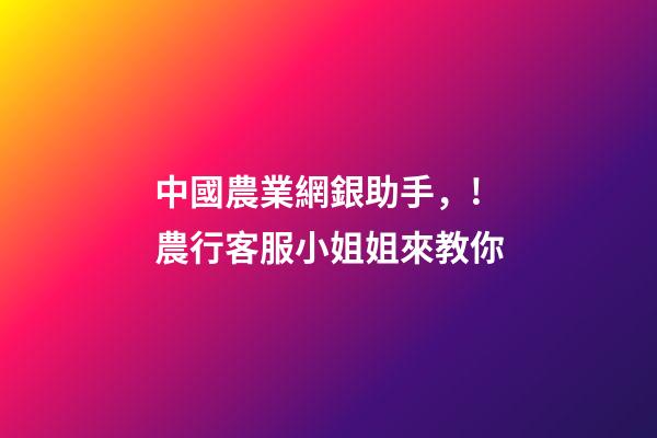中國農業網銀助手，!農行客服小姐姐來教你-第1張-觀點-玄機派