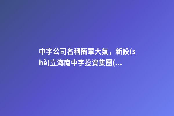 中字公司名稱簡單大氣，新設(shè)立海南中字投資集團(tuán)公司-第1張-觀點(diǎn)-玄機(jī)派