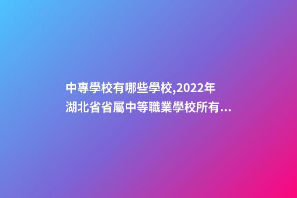 中專學校有哪些學校,2022年湖北省省屬中等職業學校(中職)所有名單(17所)-第1張-觀點-玄機派