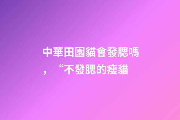 中華田園貓會發腮嗎，“不發腮的瘦貓