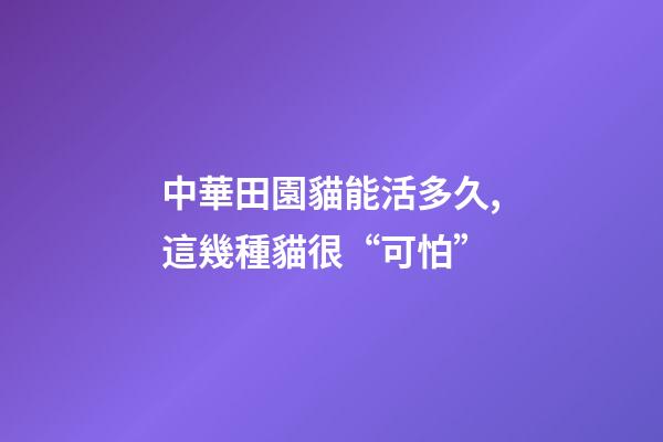 中華田園貓能活多久,這幾種貓很“可怕”-第1張-觀點-玄機派