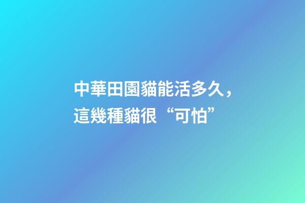中華田園貓能活多久，這幾種貓很“可怕”-第1張-觀點-玄機派