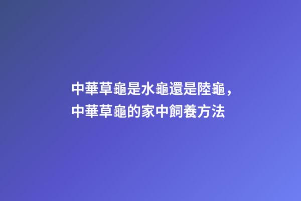 中華草龜是水龜還是陸龜，中華草龜的家中飼養方法-第1張-觀點-玄機派