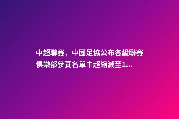 中超聯賽，中國足協公布各級聯賽俱樂部參賽名單中超縮減至16隊-第1張-觀點-玄機派