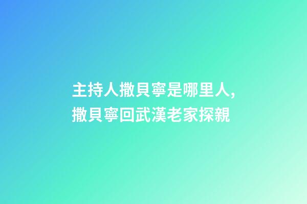 主持人撒貝寧是哪里人,撒貝寧回武漢老家探親-第1張-觀點-玄機派