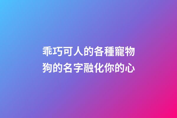乖巧可人的各種寵物狗的名字融化你的心