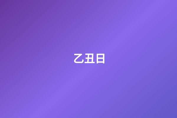 乙丑日