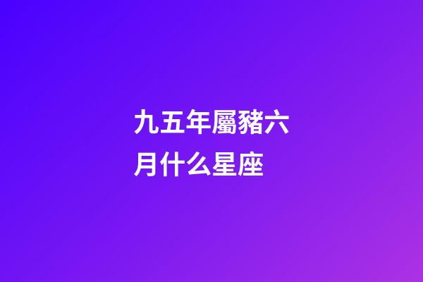 九五年屬豬六月什么星座-第1張-星座運勢-玄機派