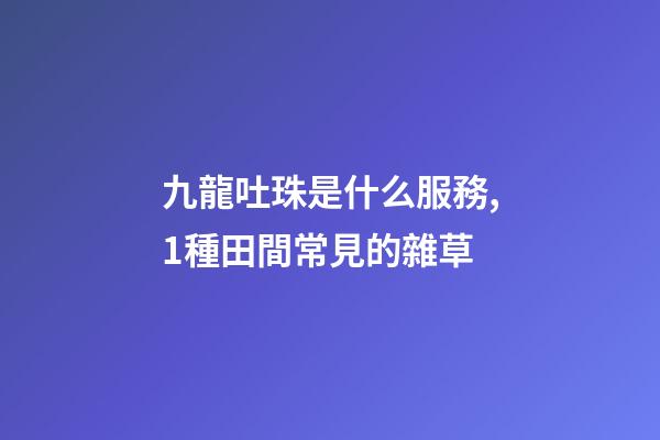 九龍吐珠是什么服務,1種田間常見的雜草-第1張-觀點-玄機派