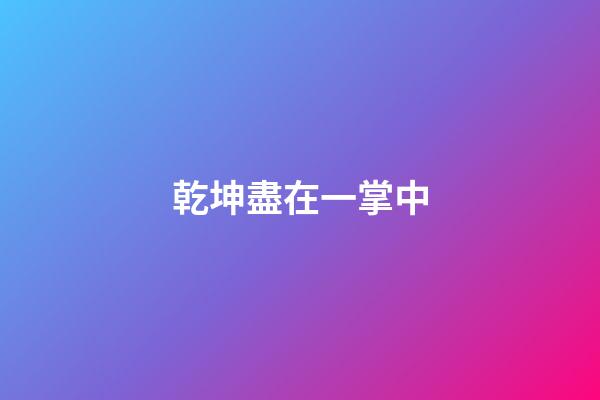 乾坤盡在一掌中