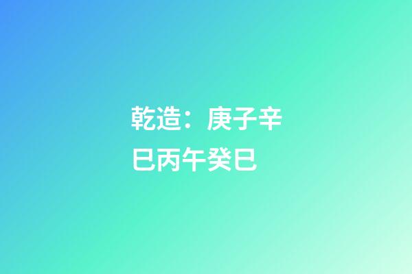 乾造：庚子辛巳丙午癸巳