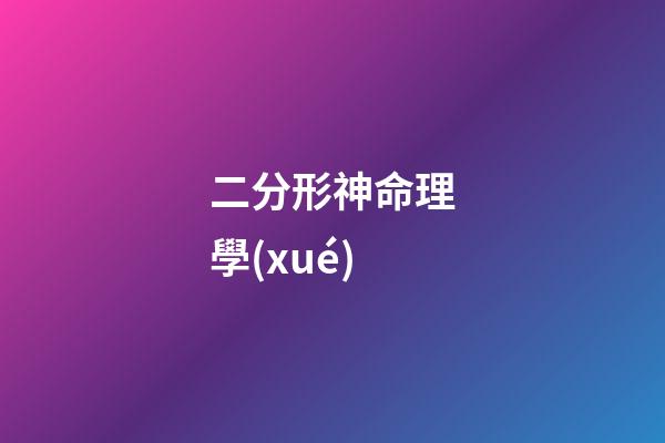 二分形神命理學(xué)
