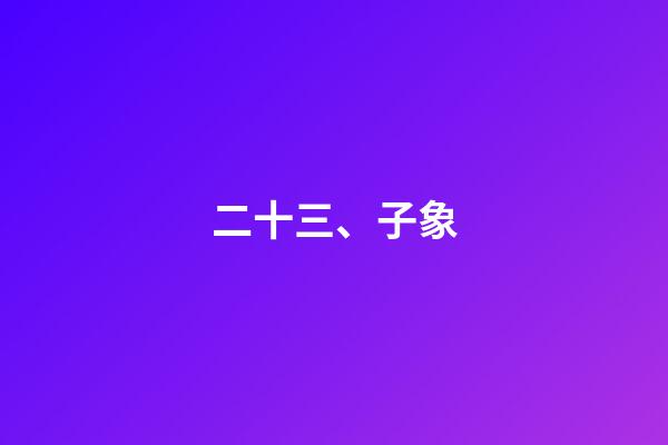 二十三、子象
