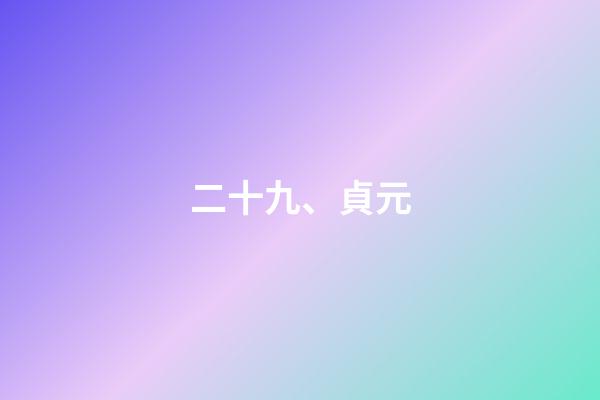 二十九、貞元