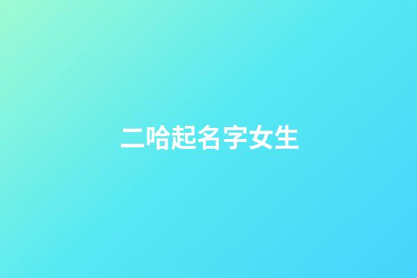 二哈起名字女生(給二哈取名字呆萌些的)-第1張-女孩起名-玄機派