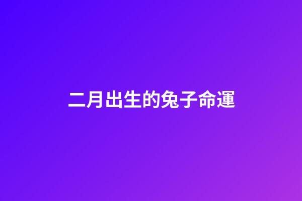 二月出生的兔子命運(這才出生10天的兔寶寶沒了媽媽，能再熬10天嗎)-第1張-觀點-玄機派