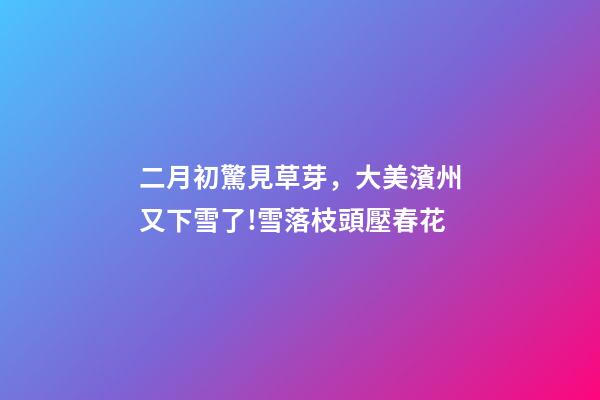 二月初驚見草芽，大美濱州又下雪了!雪落枝頭壓春花-第1張-觀點-玄機派