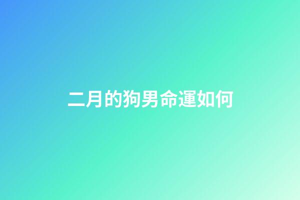 二月的狗男命運如何(算命先生：生于這三個月的大金狗，注定先苦后甜，可準了!)-第1張-觀點-玄機派