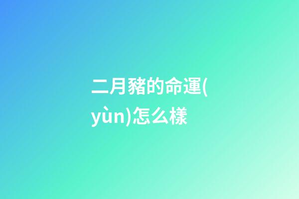 二月豬的命運(yùn)怎么樣(豬在東北面臨怎樣的命運(yùn)？地球知識局)-第1張-觀點(diǎn)-玄機(jī)派